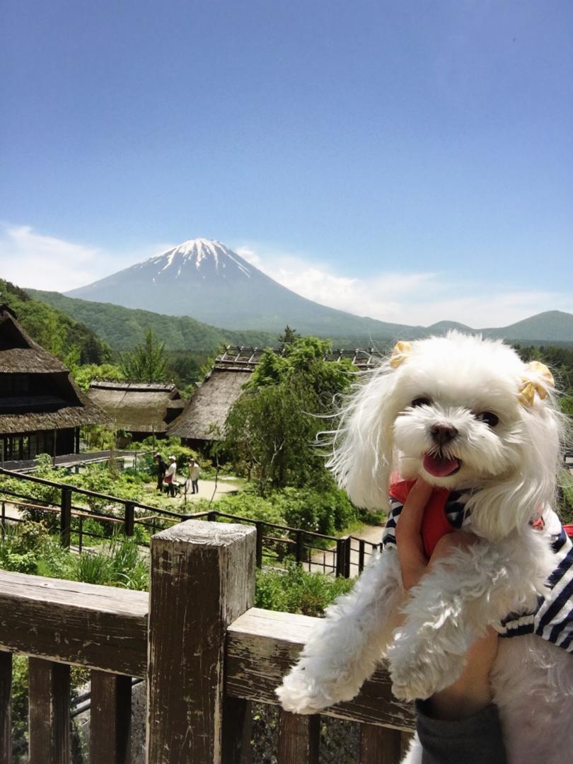 富士山がこんなに近いよー♪♪