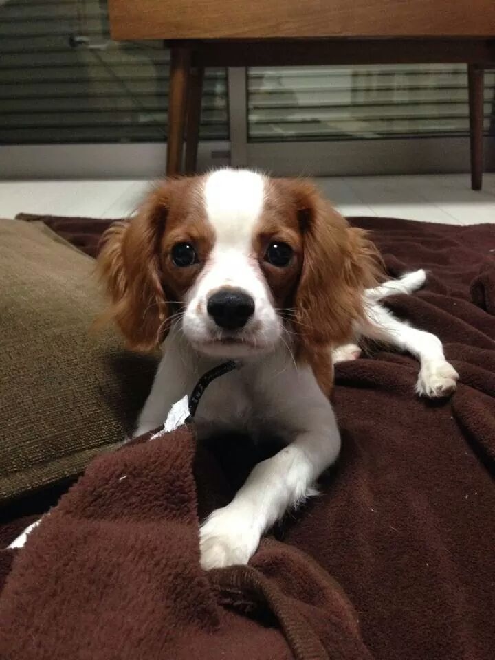 呼んだ？