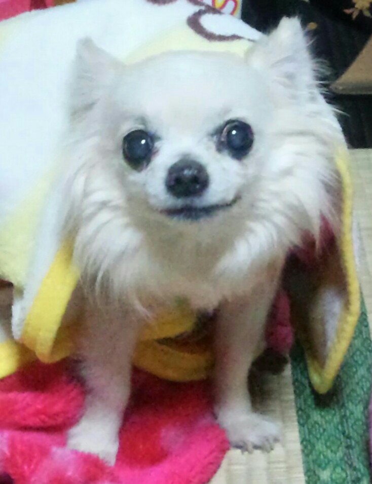 写真写りイイでしょ！?ボクU^ｴ^U