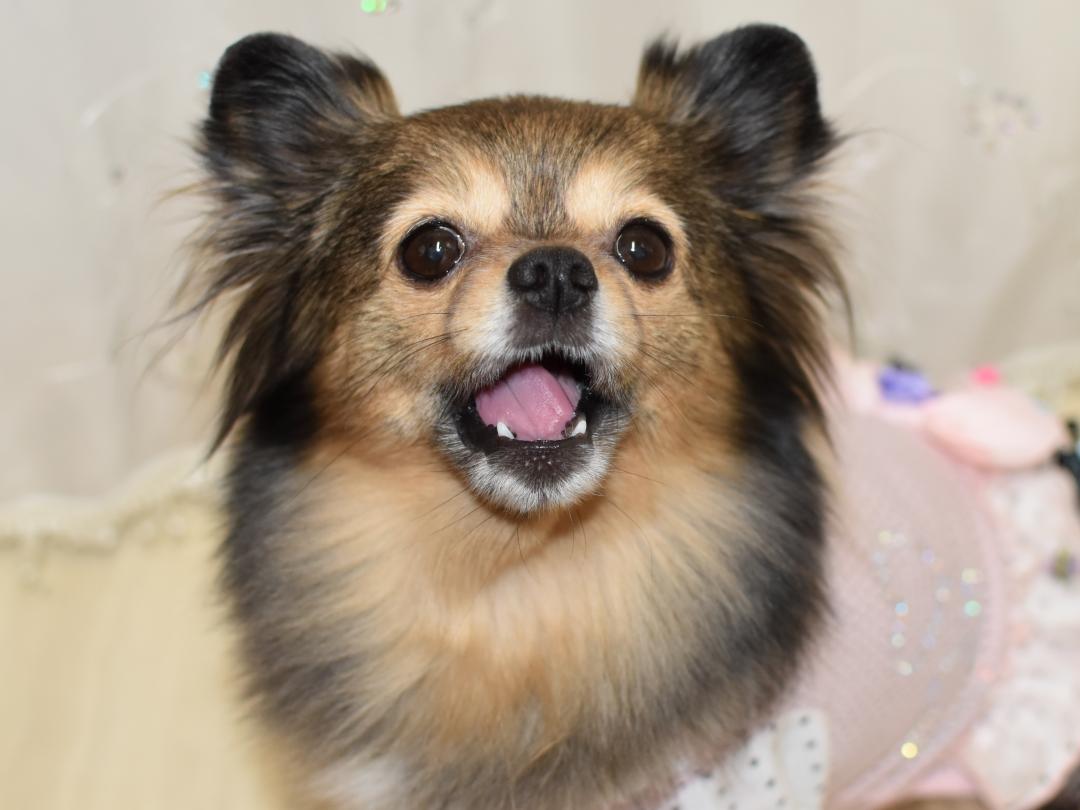 わお！！