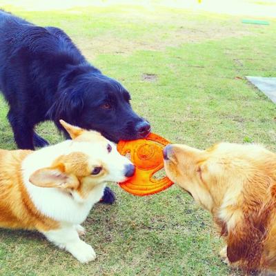 最後は、誰のものなのか？