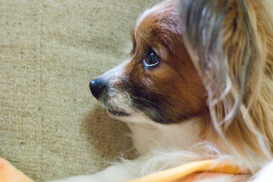目線の先には…