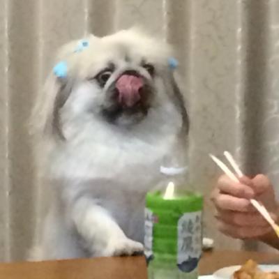 腹ペコだわん