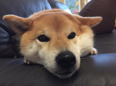 眠い、、、