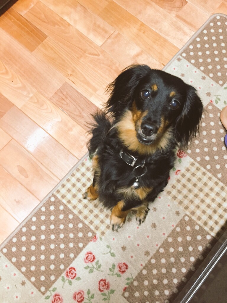 なんか落ちてこんどかね～？