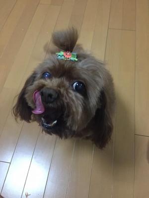 美味しかった！