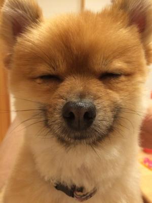 無の表情