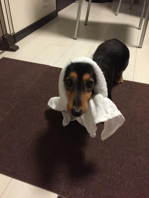 雨だからね！！