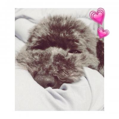 眠たい...
