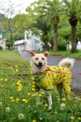 雨でも幸せ～💚