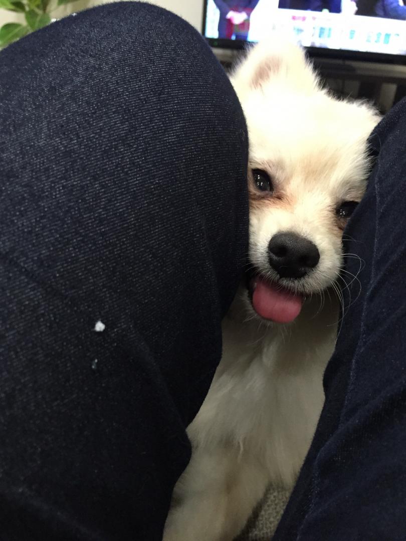狭い所に入るのが大好き♪幸せ～♪