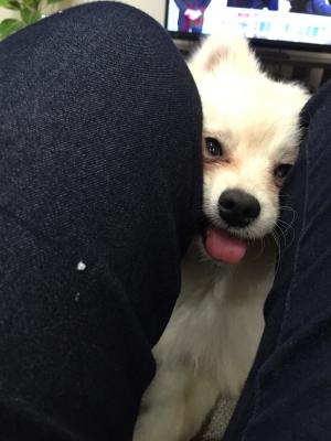 狭い所に入るのが大好き♪幸せ～♪