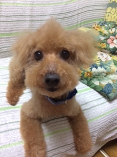 僕のこと、呼んだ？