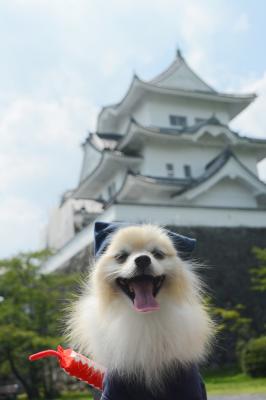 伊賀城で忍者になったよ