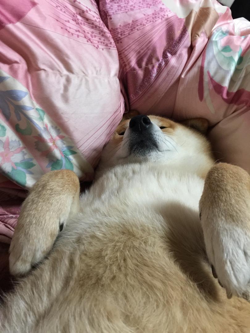 お腹なでてぇ～