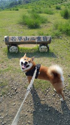 まだまだ登るよ！