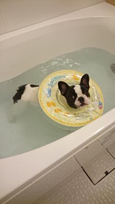 お風呂 大好き！