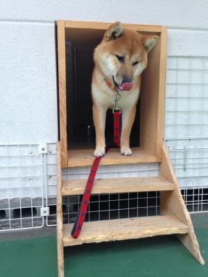 大好きなおやつの時間