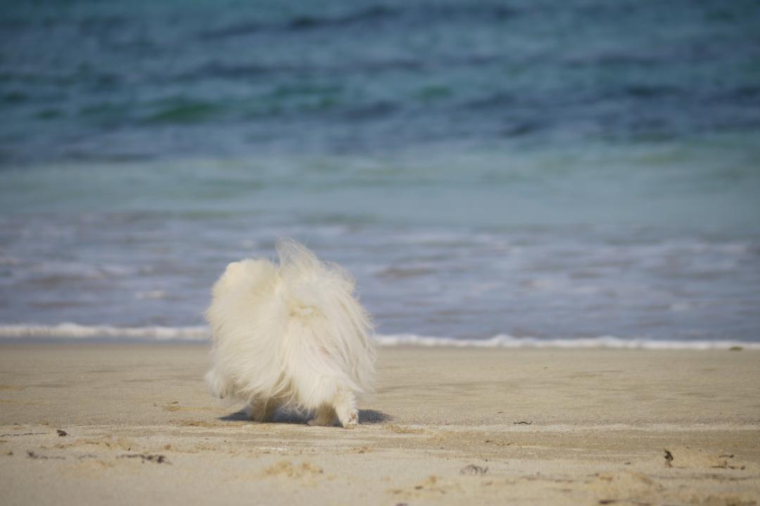 海岸散歩