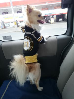 ドライブ大好き