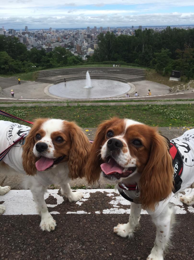 この公園も大好き