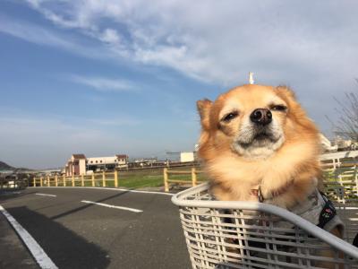 自転車大好き🚲