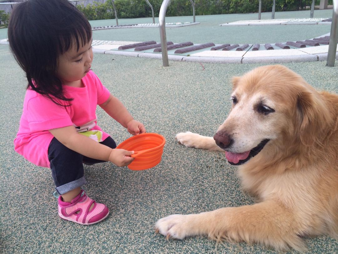 暑いから、お水入れてきたよ♡