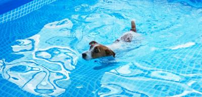 暑いときはプールに限るっ！