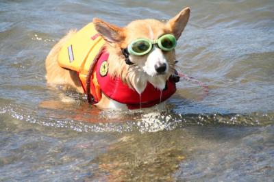 夏はやっぱり水遊び