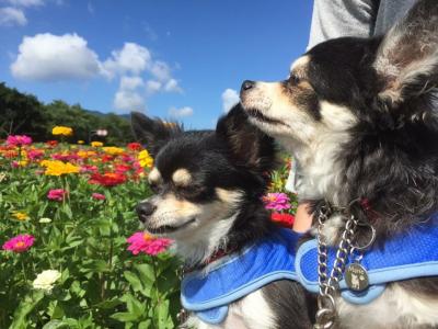 風が気持ちが良いねぇ