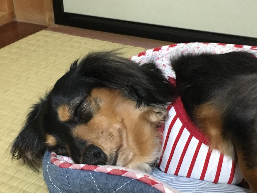 飛騨高山のペンションでお泊まりひ