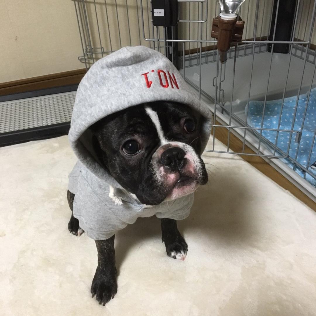 かっこいいでしょ？