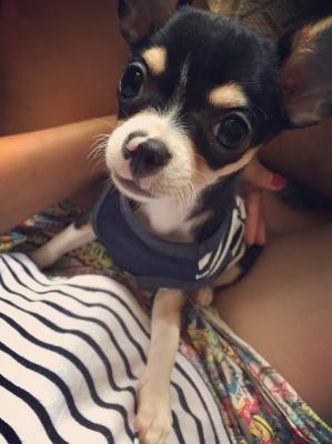 膝の上に来てちょこんとお座り♪