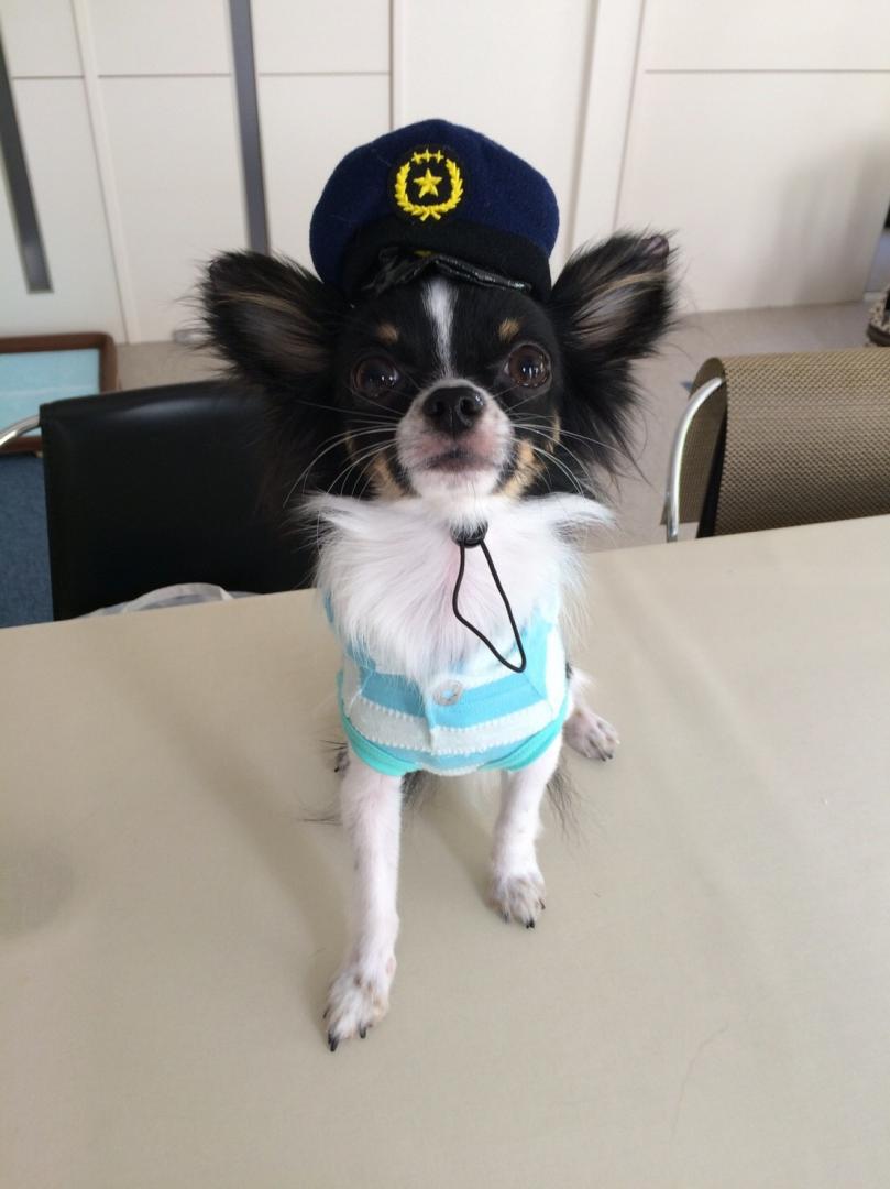 似合ってますか？