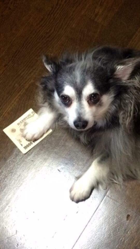 お金と私、どっちが大事？