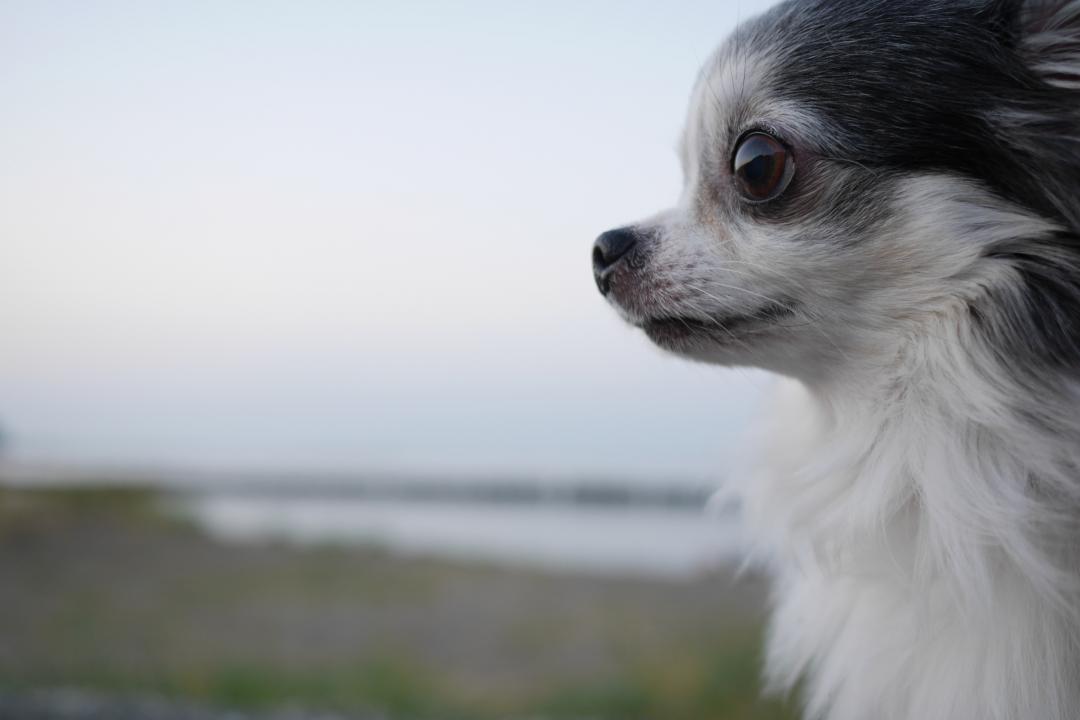 今年最後の海