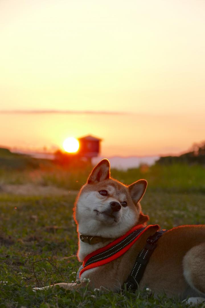 まったりな夕暮れ時