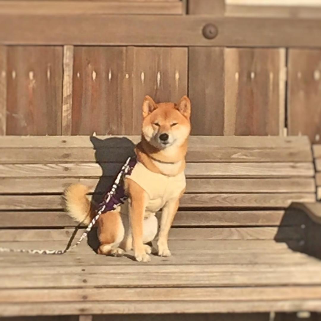 駅のベンチで母を待つ