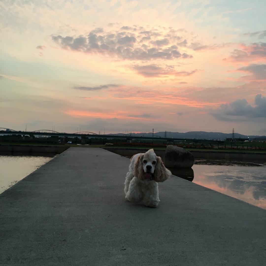 空に続く道