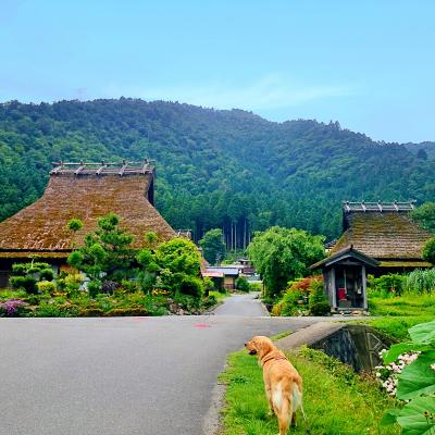 日本の原風景となっつ