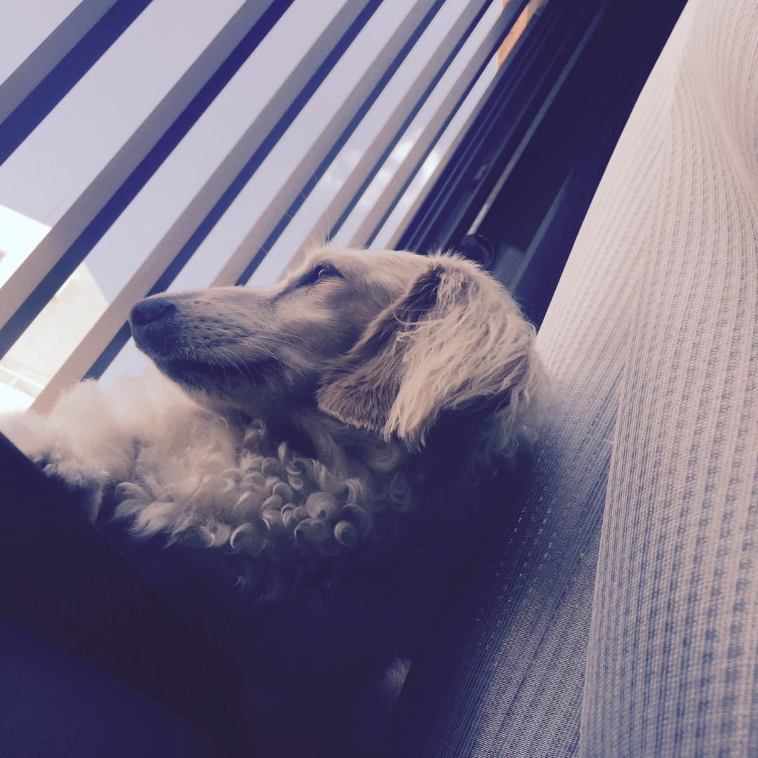 お外