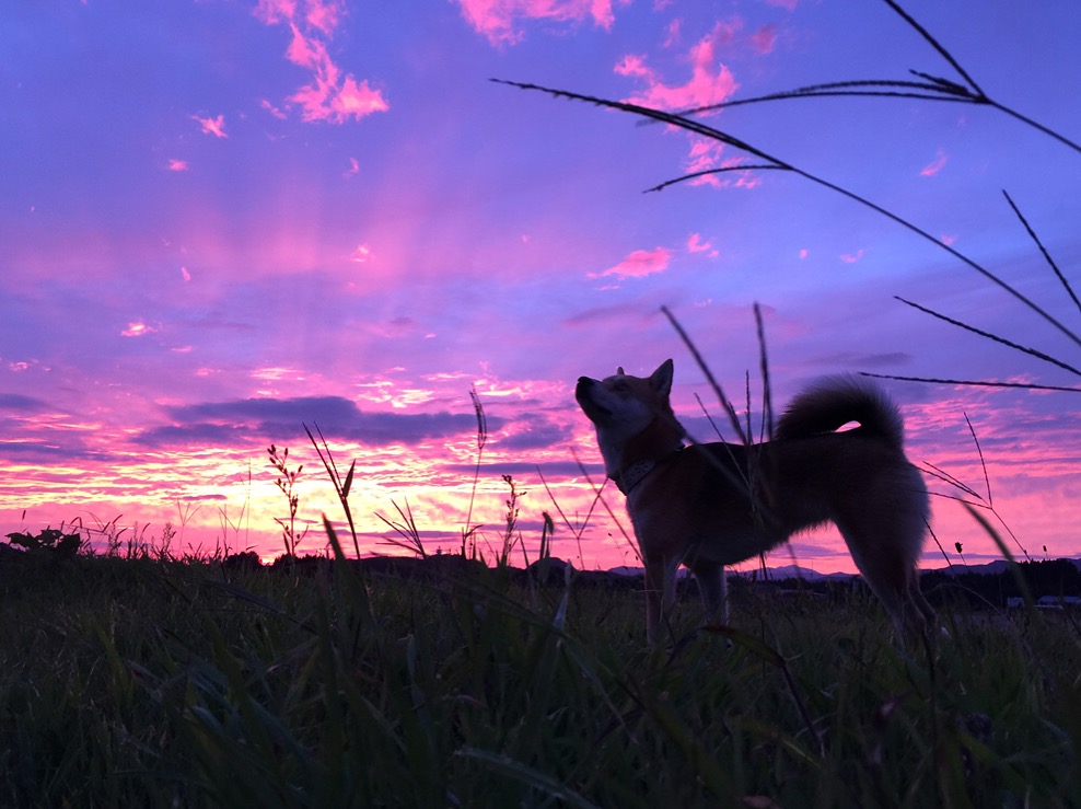 ミラクルカラーの夕焼け空