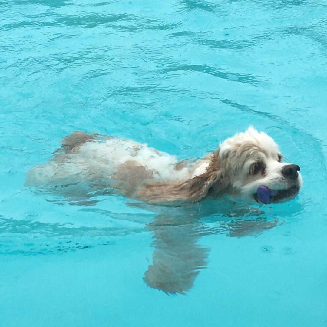 水遊び大好き