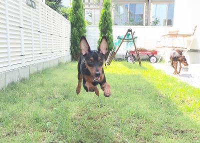 jump!jump!jump!