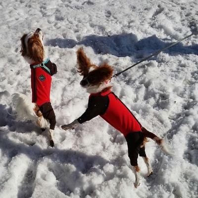 元気いっぱい雪遊び