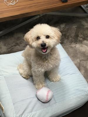 雨が多く家遊び中です。