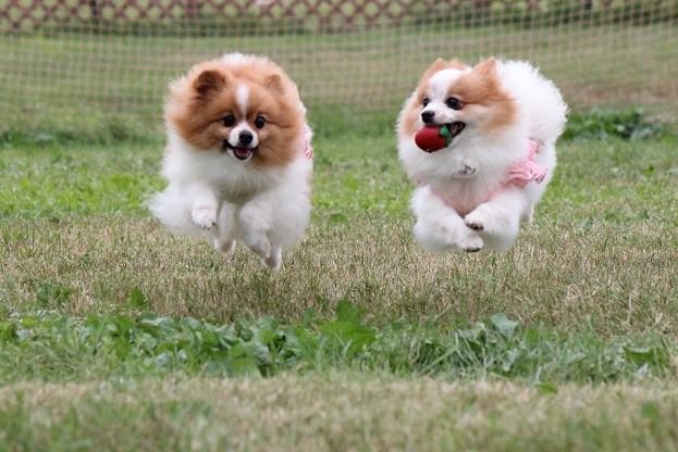 親子で飛びまーす！