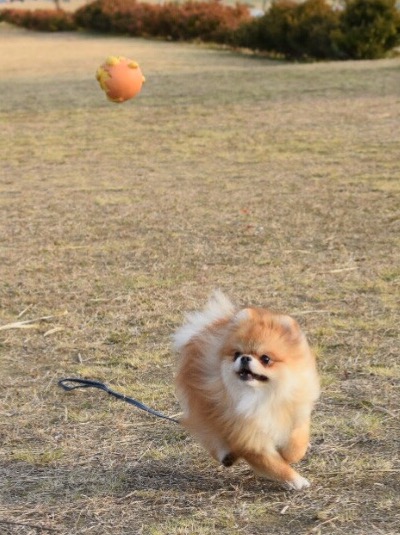 よし！