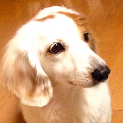 キレイキレイしてきました！