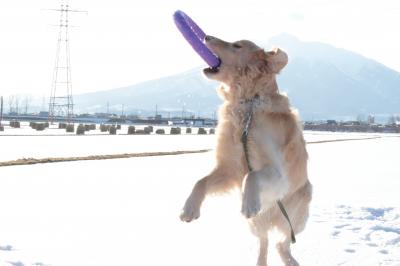 雪の中でも元気いっぱい！